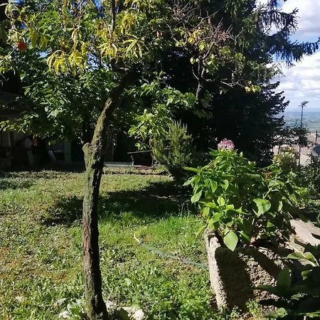 Orto Di Emma San Gimignano
